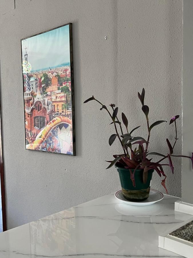 Huerto Apartment ลูซีนา ภายนอก รูปภาพ